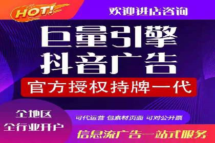 SEM优化策略案例分析